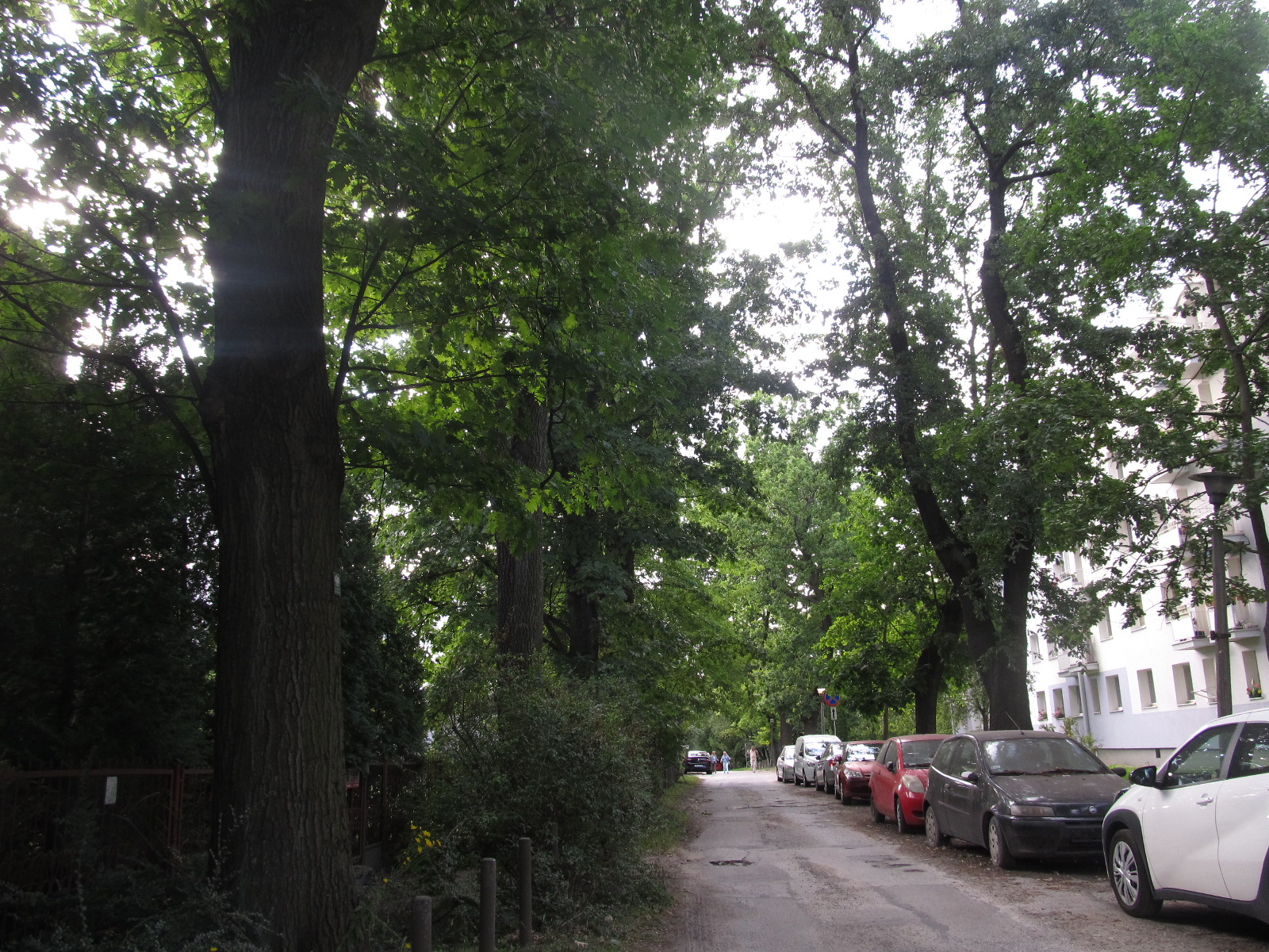 ul. Dękowa
